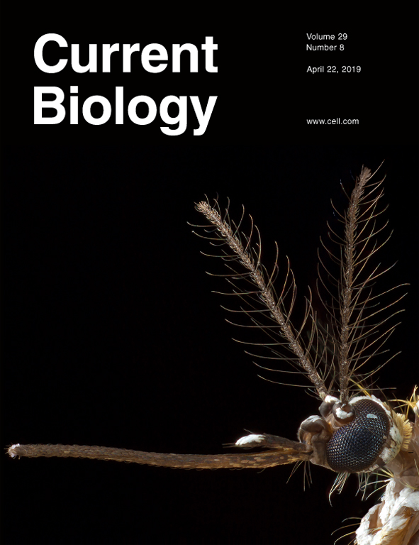 curbio-29.8-cover.jpg