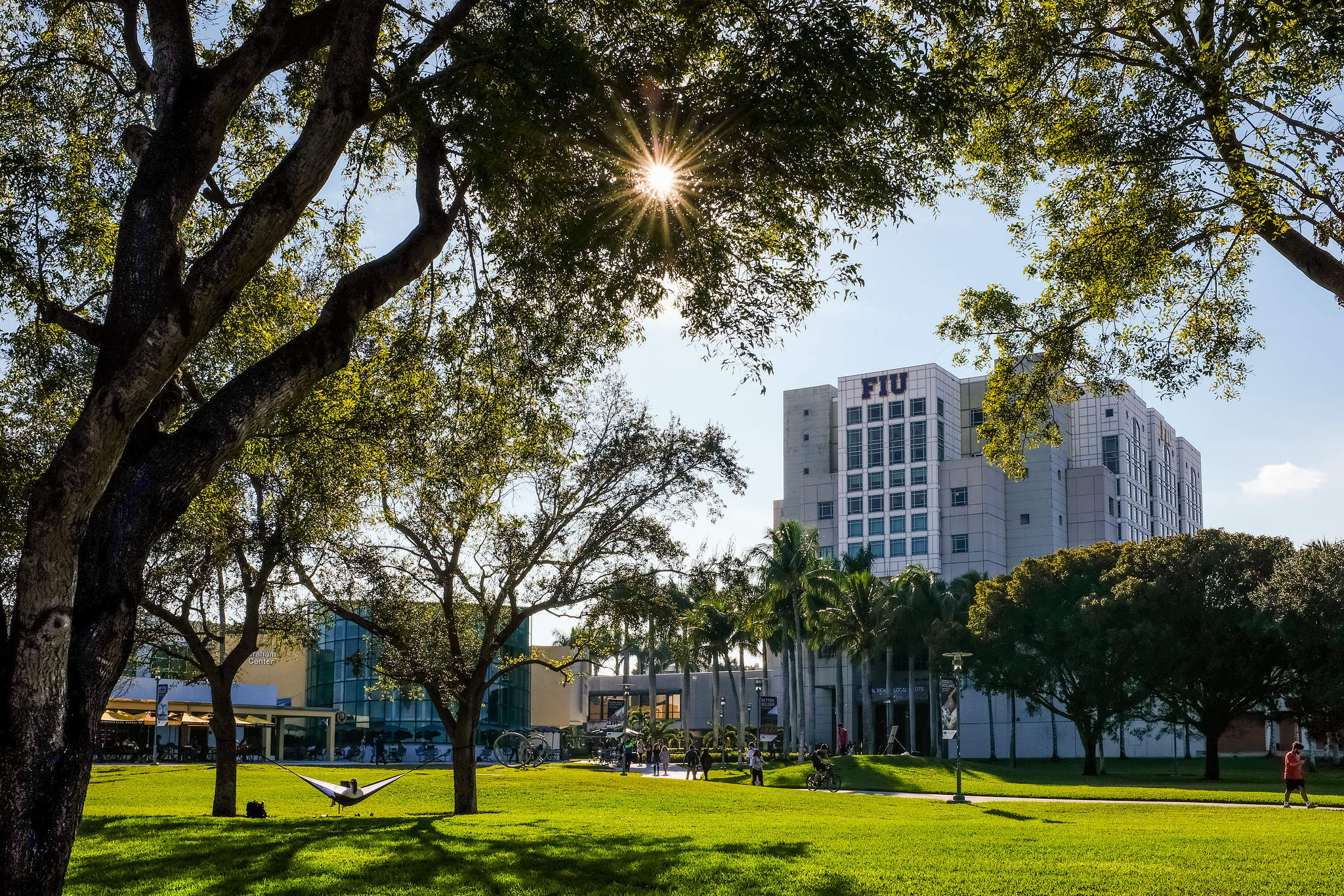 Университет майами. Florida International University (Майами-Дейд). Университет fiu. Florida International University fiu Campus. Кампус политехнического университета Флориды.