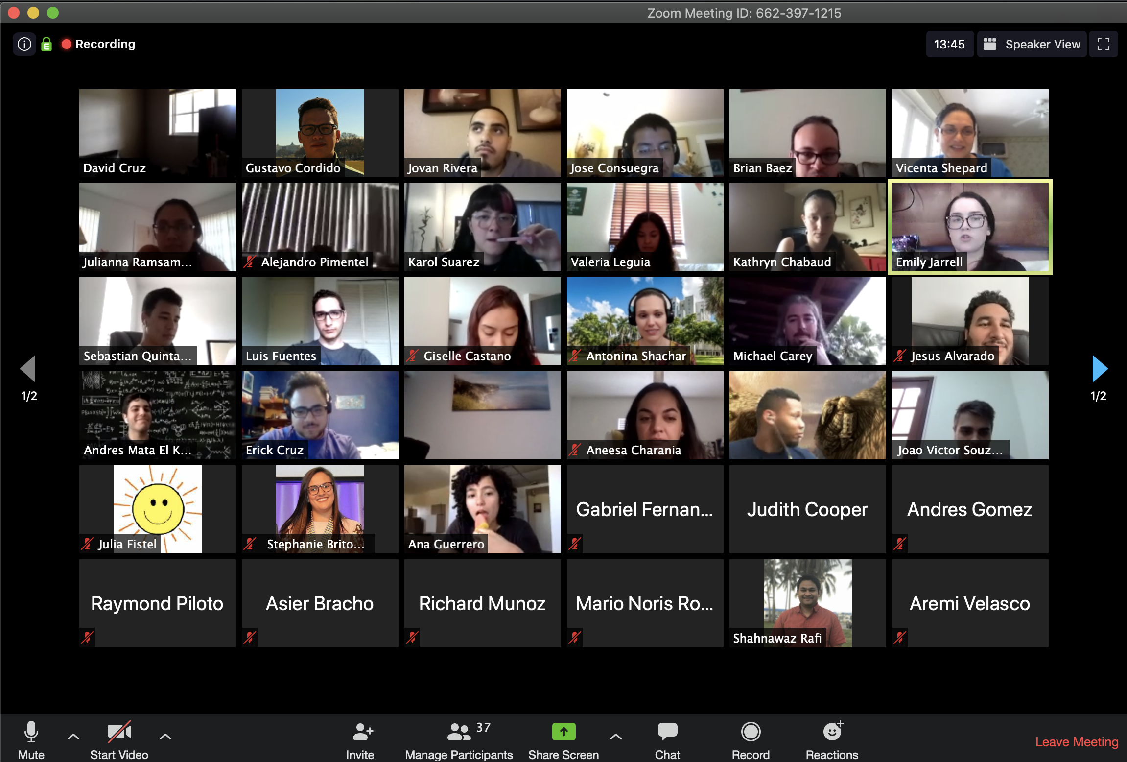 zoom video call meeting