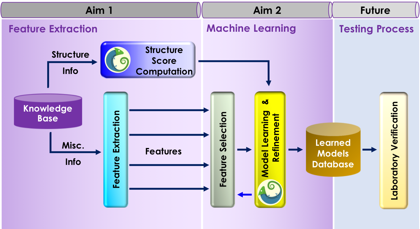 phases_project.png