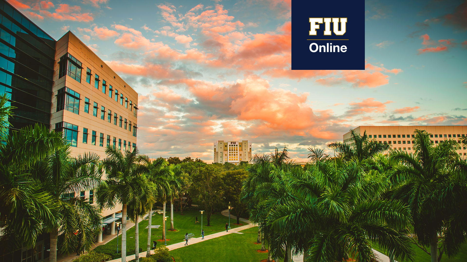 FIU Zoom Background