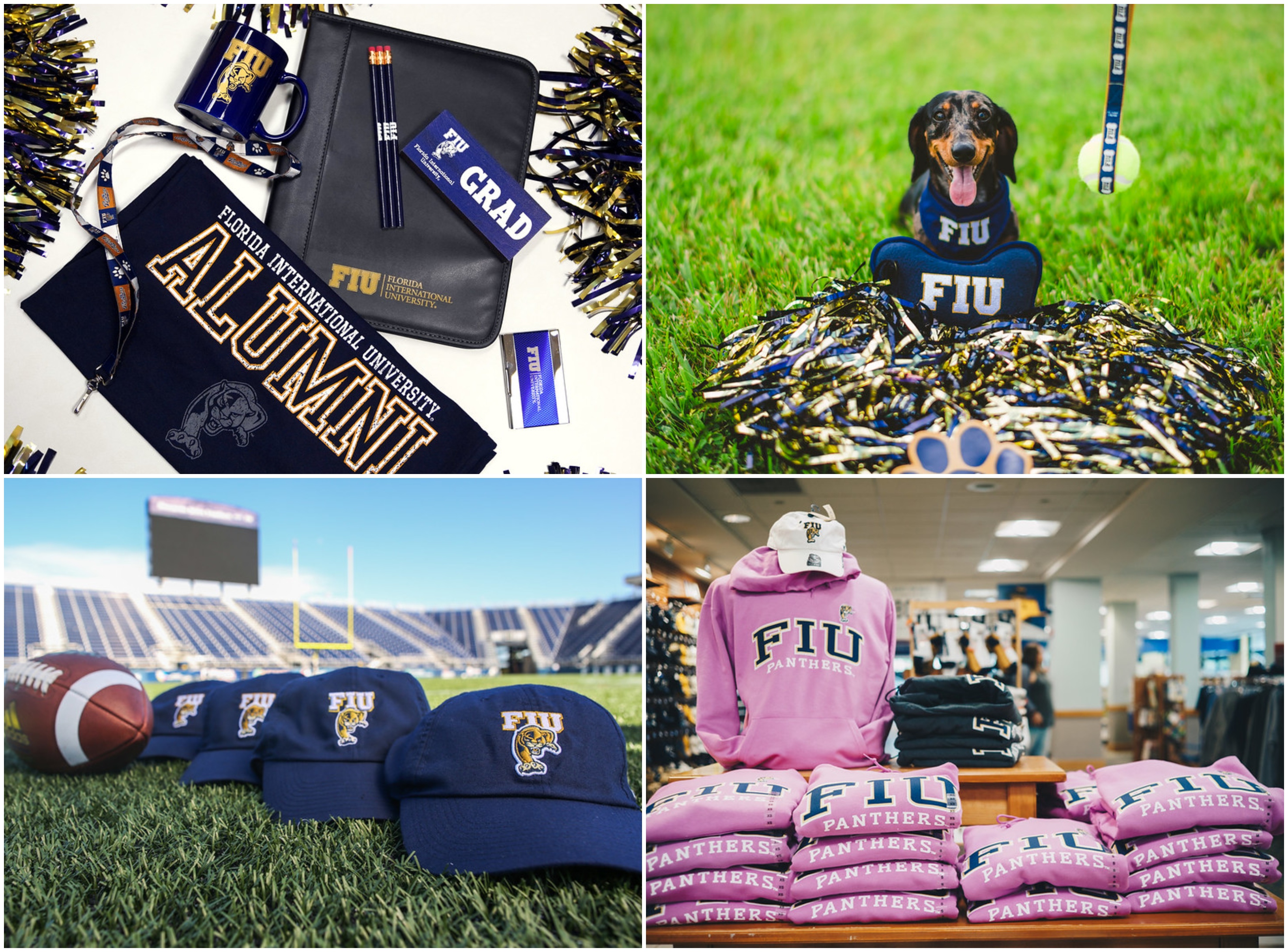 rep-fiu-collage.jpg