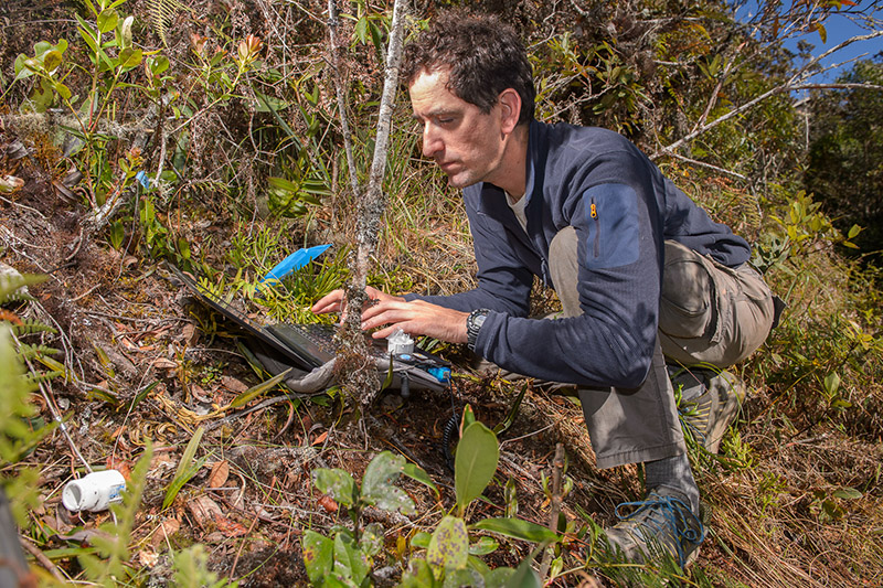 FIU researcher Alessandro Catenazzi in the field.