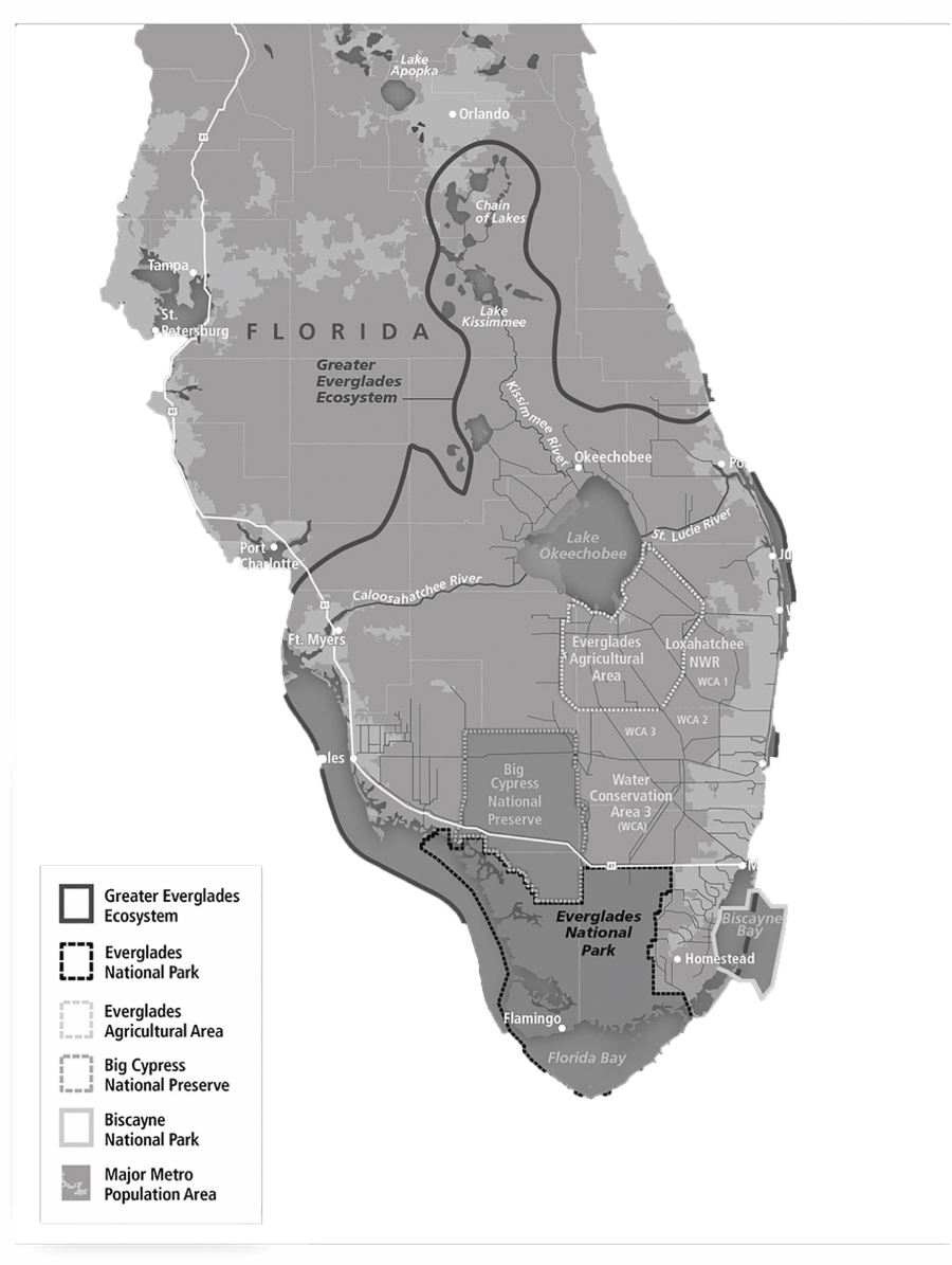 Restoration Strategies for Clean Water for the Everglades