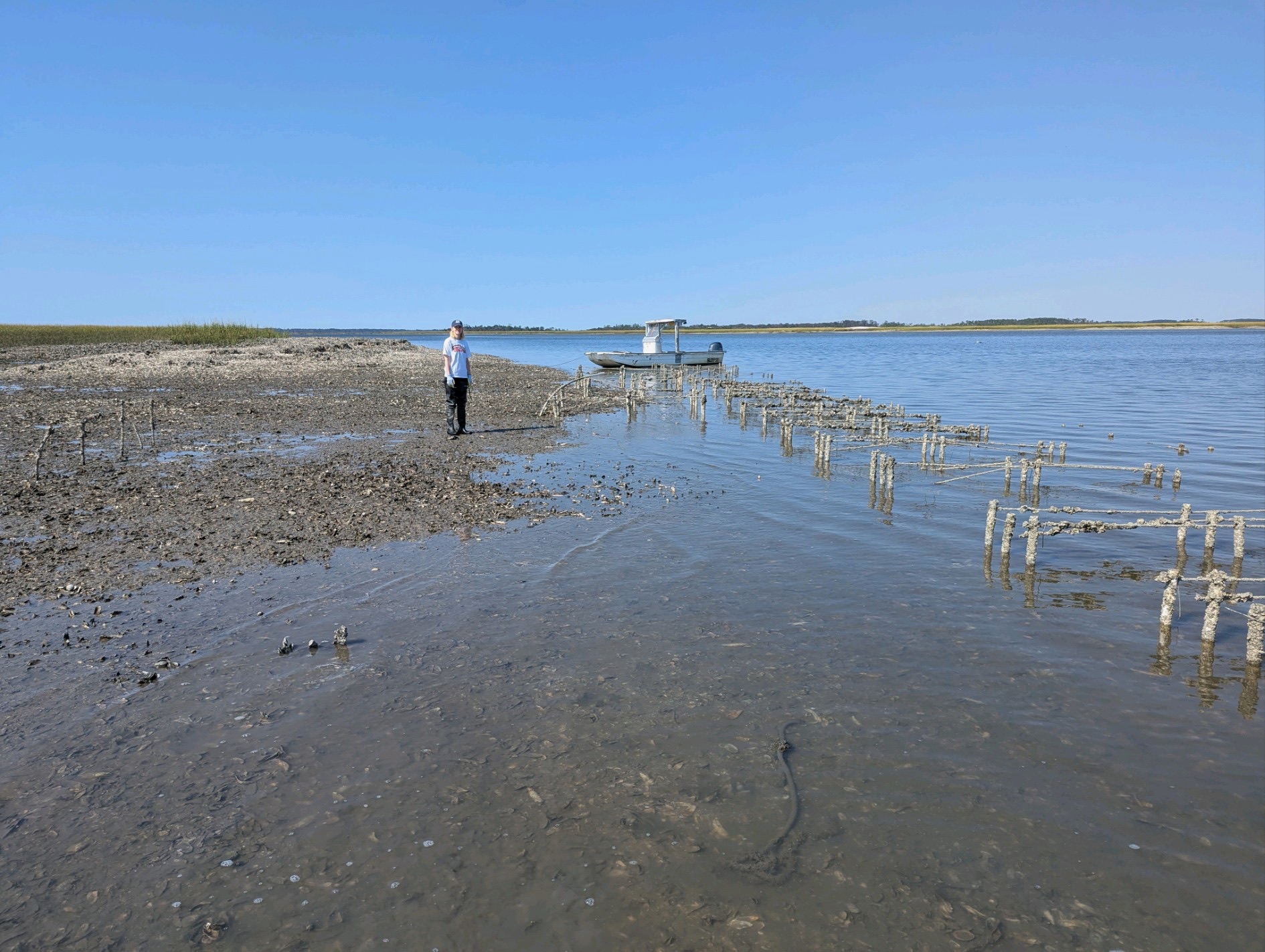 Corgan prepares to check oyster cages on the marsh