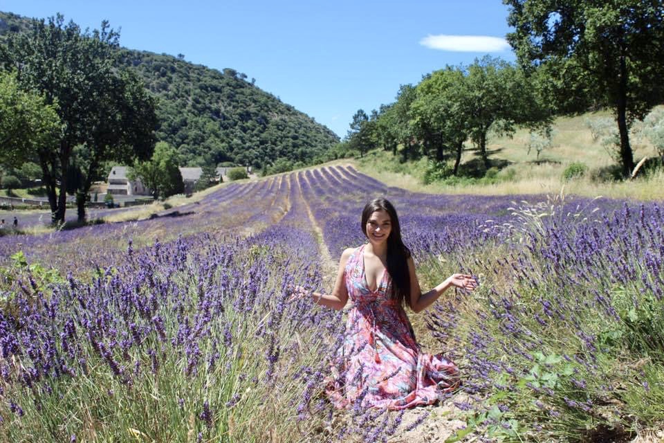 lavender-fields-of-france.jpg