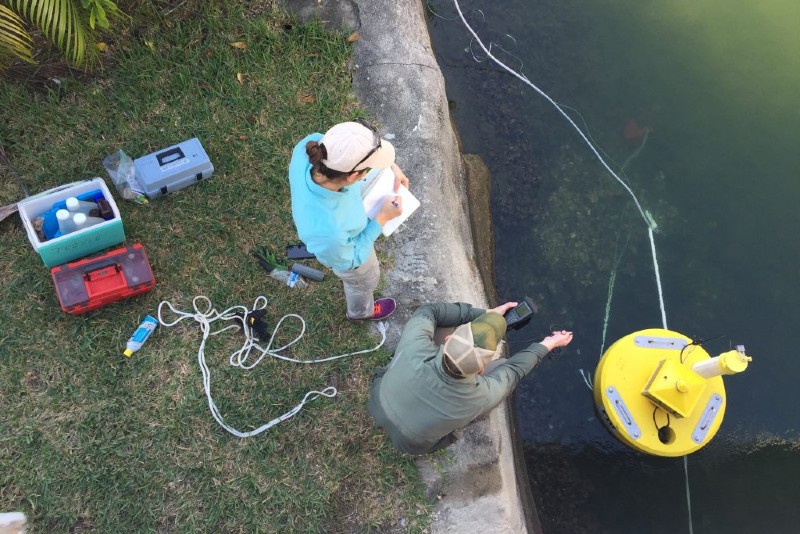FIU conducting research on Biscayne Bay