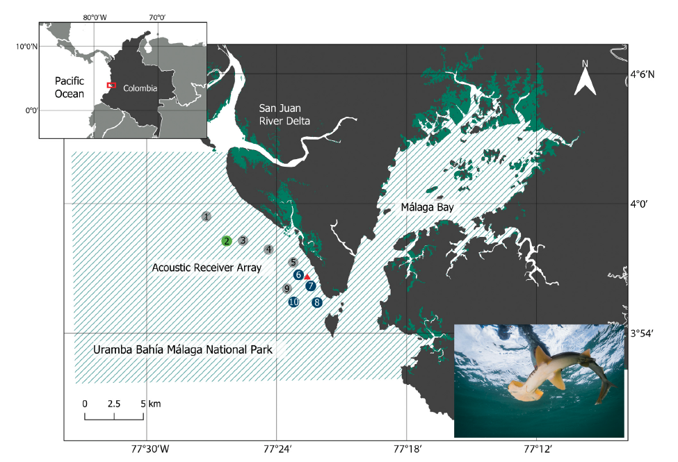 Study area in Uramba Bahía Málaga National Natural Park (shaded area), Colombia and its location on the Colombian Pacific Coast