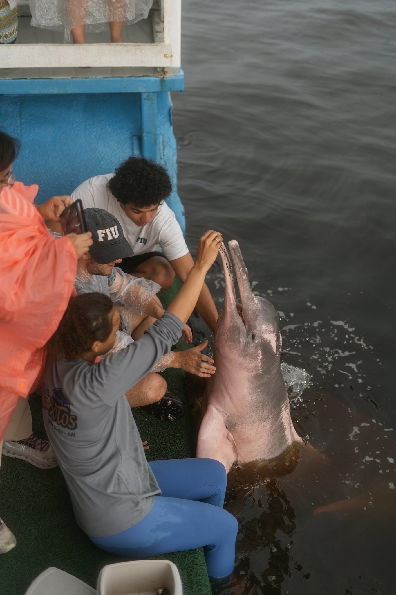 Students interact with pink dolphins