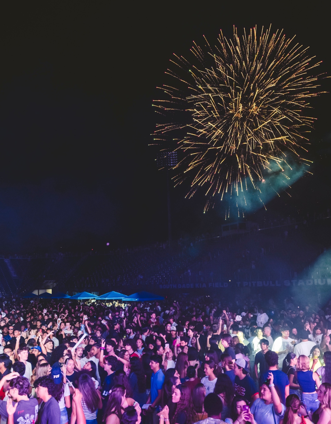 Fireworks at the event