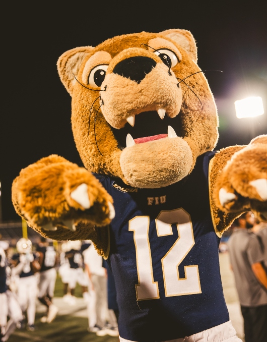 Roary celebrating