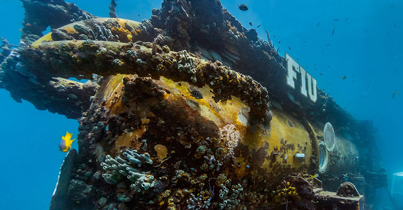 Aquarius Reef Base