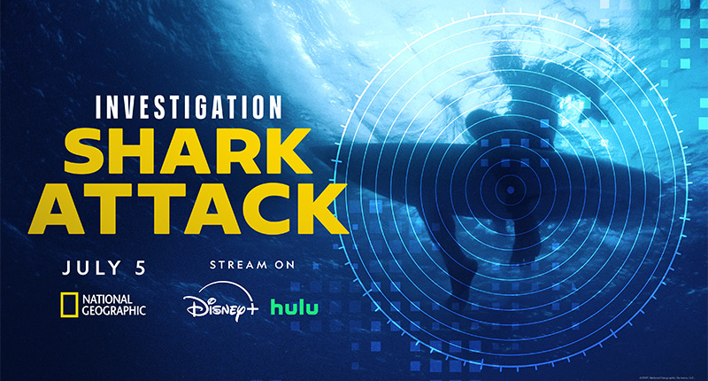 Investigation Shark Attack Poster