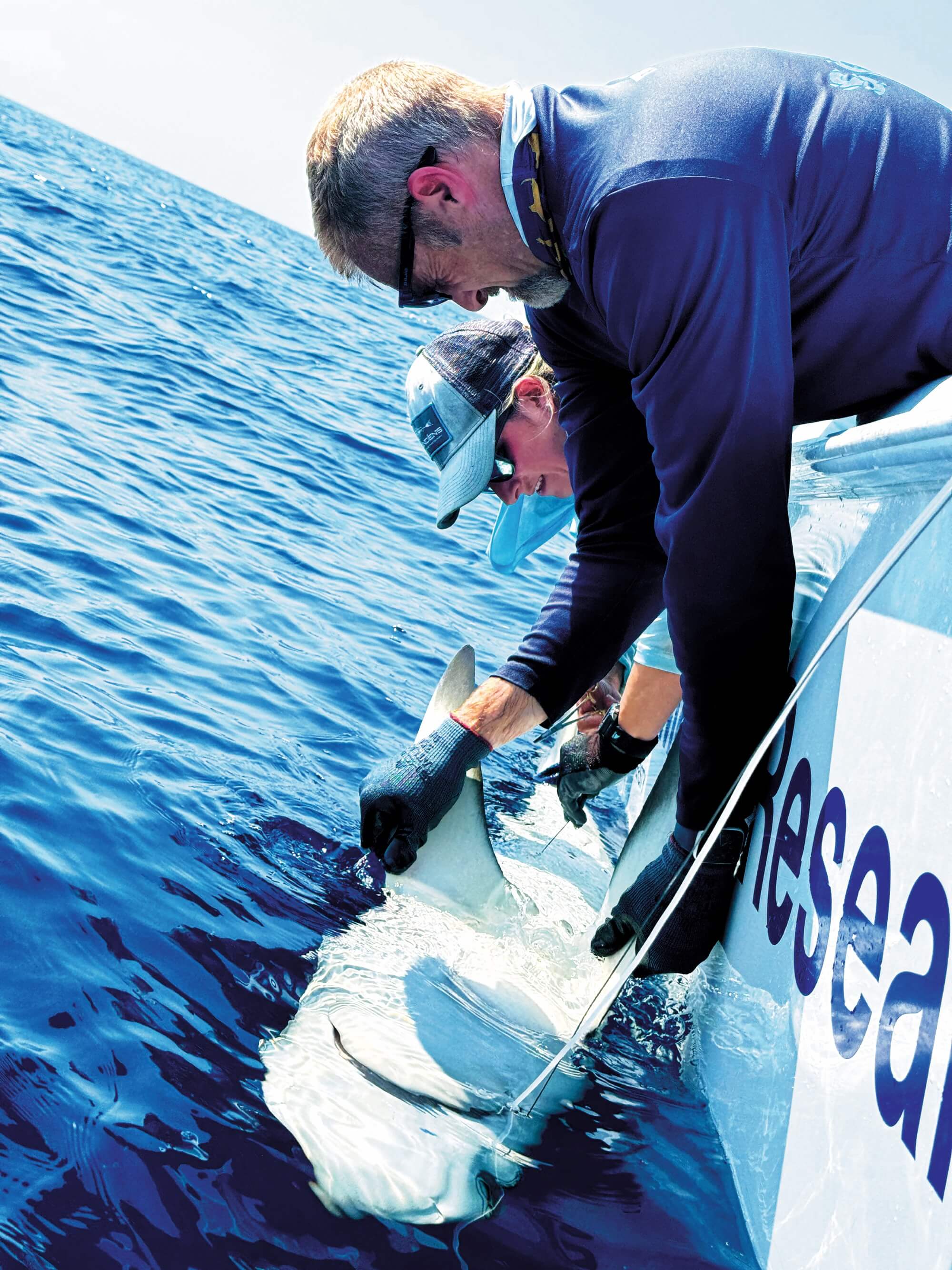 Mike Heithaus in the field tagging a shark.