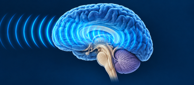 brain ultrasound image generated by AI