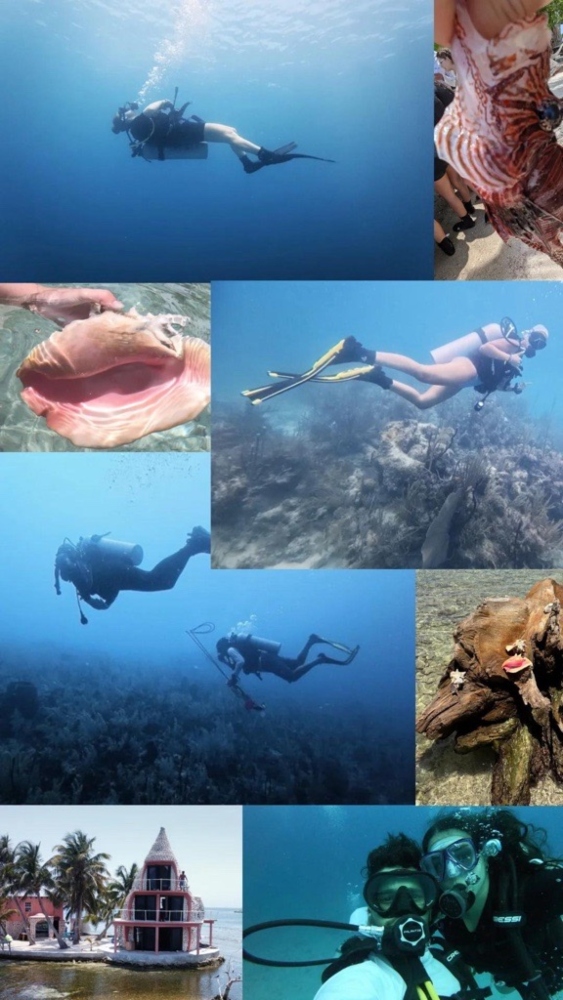 Diving