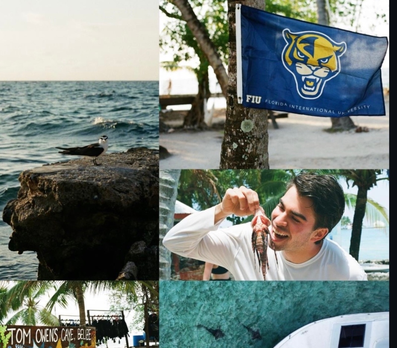 FIU flag