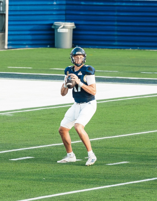 Football players during game