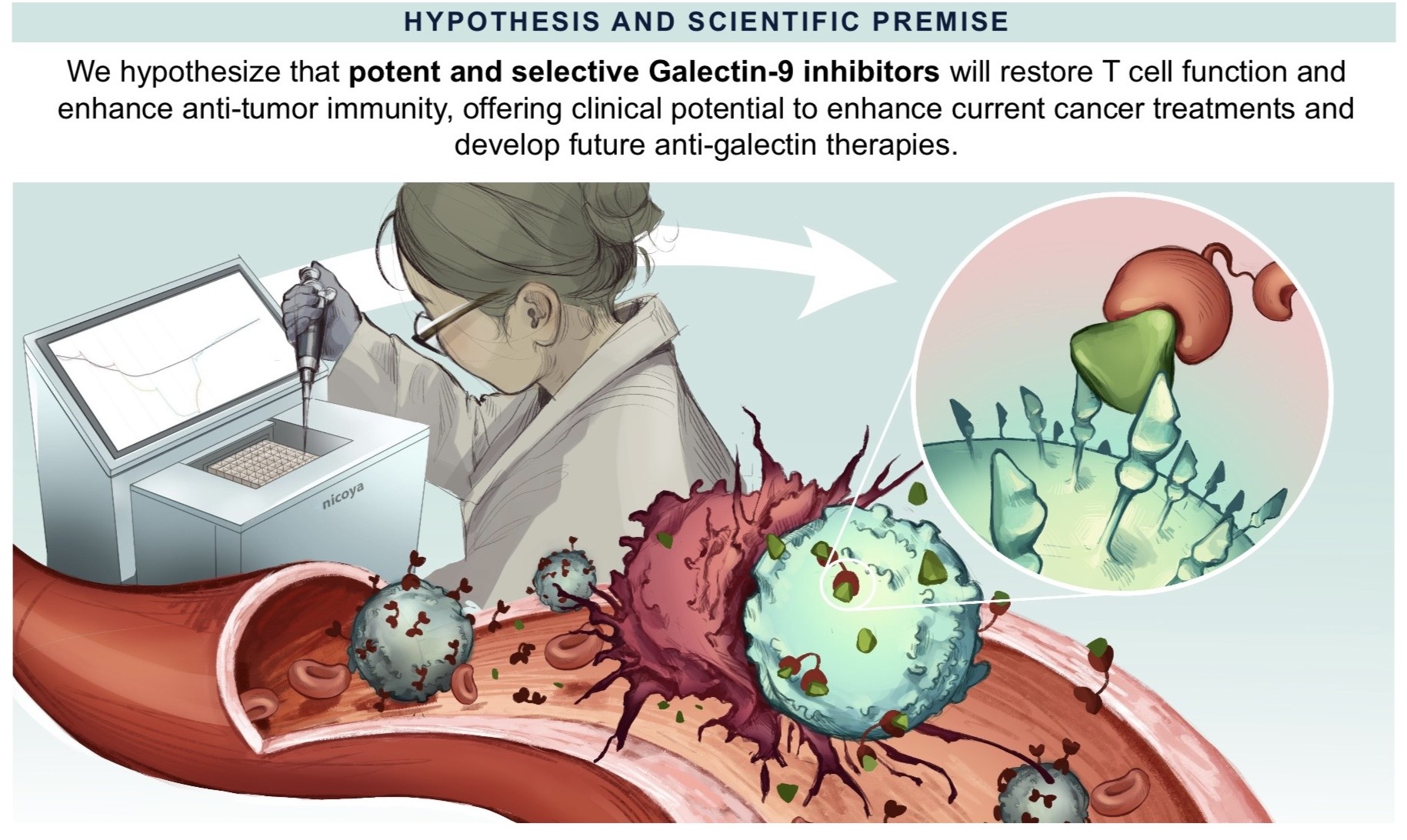 One of Lulu Perez's scientific illustrations