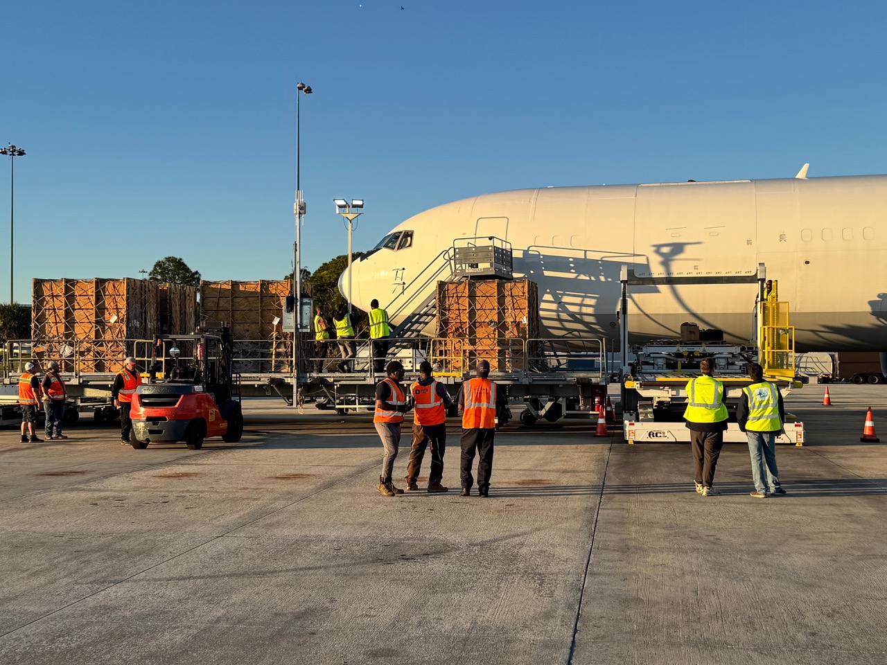 Crates of endangered mountain bongo antelopes are removed from a grounded plane after being stranded overnight.