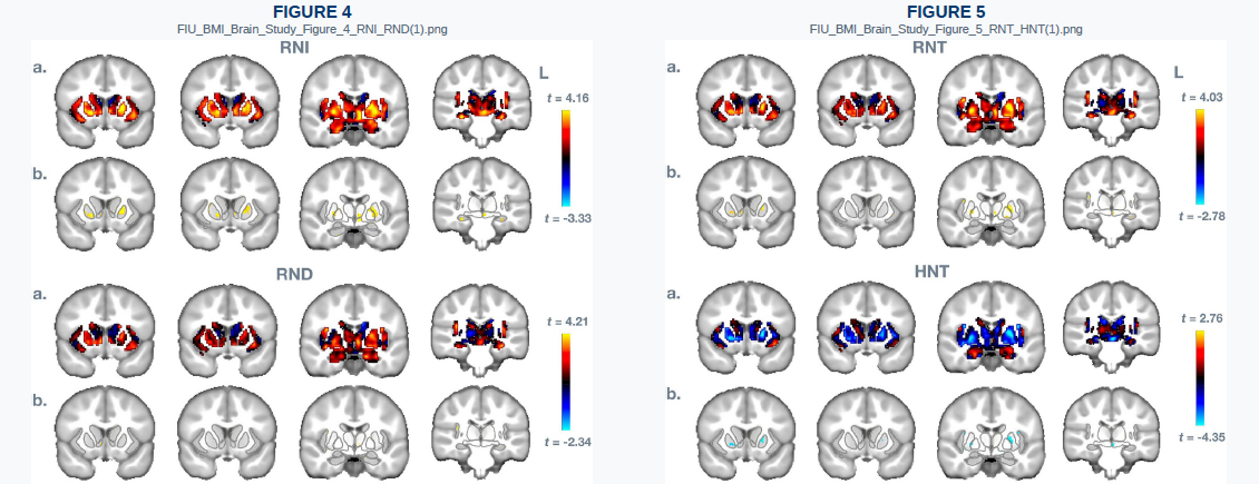 Published figures accompanying the FIU-led study in Scientific Reports