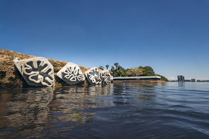 Seawall