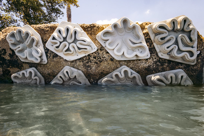 Seawall
